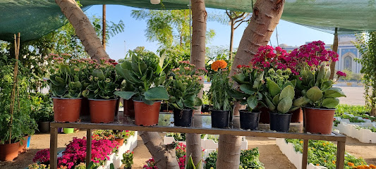 مزرعة الجدير - تاروت - +966 56 024 0282