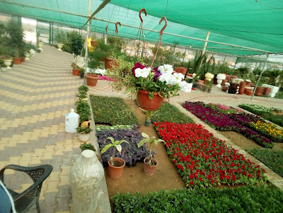 حضانة التويجري - بريدة - +966 50 313 1525