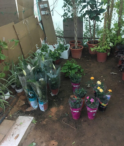 مشاتل الربيع - عرعر - +966 53 255 6889