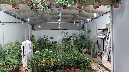 حدائق ميماس حدائق الميماس - الرياض - +966 54 237 8906