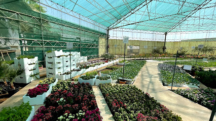 شركة مشاتل البستان شركة مشاتل البستان - دوبه - +966 11 545 7555
