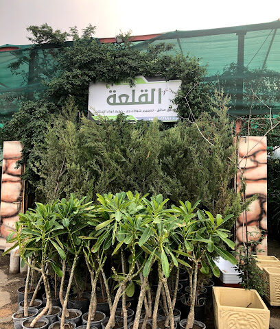 مشتل القلعة المتطوره - خميس مشيط - +966 55 567 5214