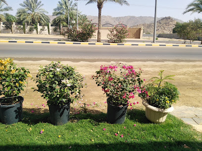 مشتل النخيل والزهور - نجران - +966 55 059 0942