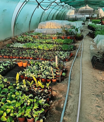 مشاتل مشاتل الواحة النموذجية - الهفوف والمبرز - +966 50 579 4999