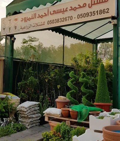 مشتل النمرود - الجبيل -