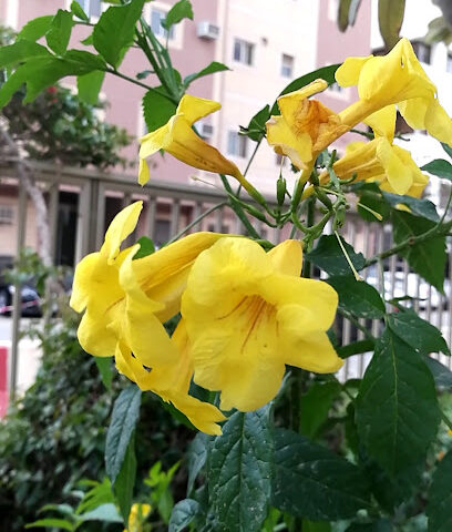 شركة الموارد - الرياض - +966 11 478 4232