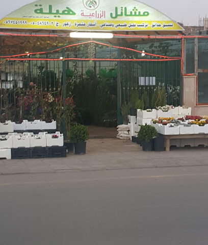 مشتل هيلة - سكاكا - +966 55 227 7570