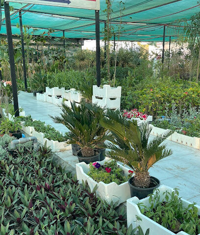 مشتل نواف - فرع الشرقية - الدمام - +966 55 003 3275