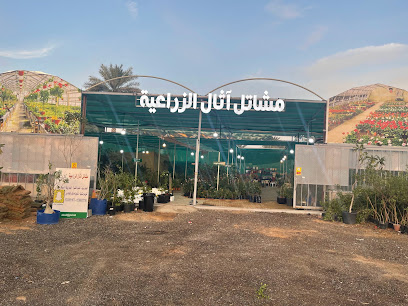 مشاتل اثال الزراعية - بريدة - +966 58 128 1805