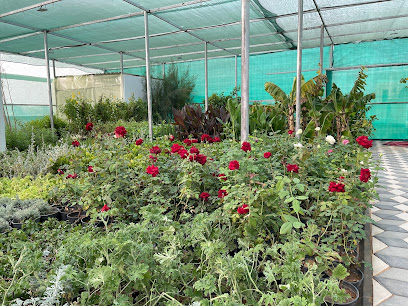 مشتل أرض خميلة - بريدة - +966 50 543 7377