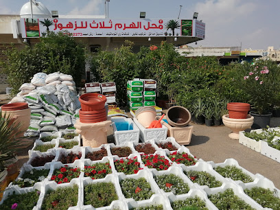 محل الهرم للزهور - الخبر - +966 55 781 2273