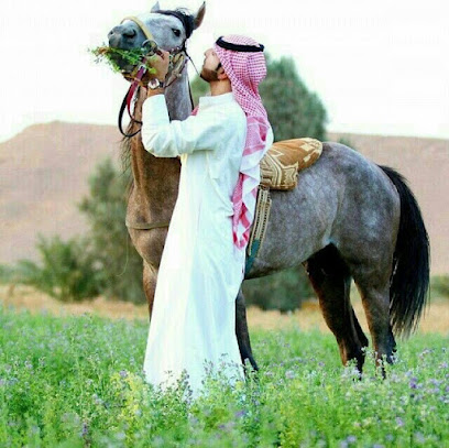 ابو سلطان الخثعمي - الدهبية - +966 55 035 5539