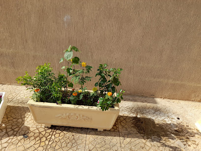 مشتل الازهار - الدمام - +966 54 032 6179