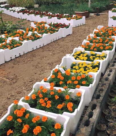 حضانات الدمام - سيهات - +966 56 669 8443