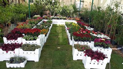 مشتل الحدائق الراقيه - سكاكا - +966 50 538 8982