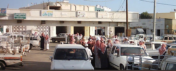 مركز صحي الحازمي - بيشة - +966 17 620 6272