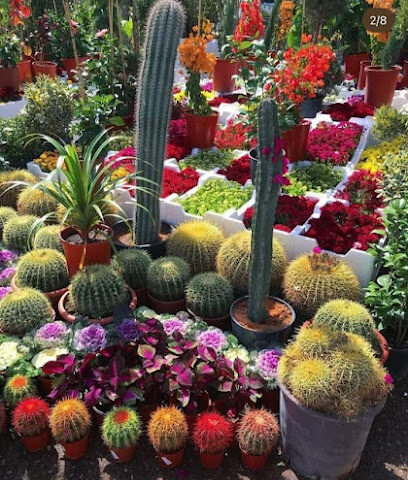 مشتل تنسيق الرياض الحدائق - الرياض - +966 55 670 1443