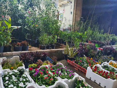 مشاتل عالم البلاد - الدمام - +966 59 881 5707