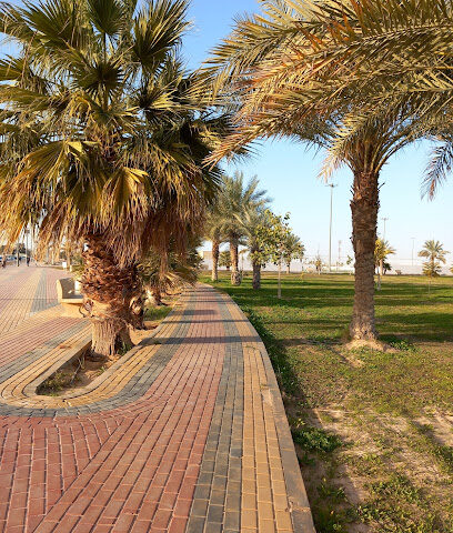 ملعب الاكاديمية - سكاكا -
