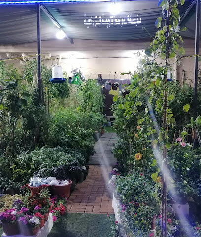 مؤسسة المواسم الاربعة الزراعية - الجبيل - +966 59 436 3720