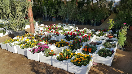 مشتل الرابية - الدوادمي - +966 53 106 2417