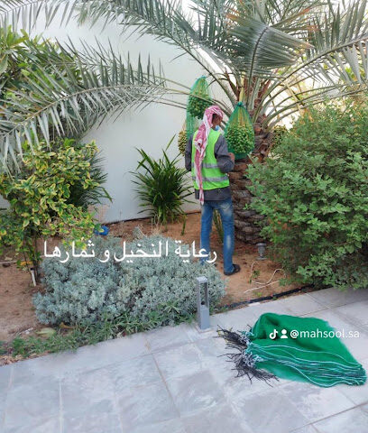 الحدائق - الدمام - +966 55 577 2172