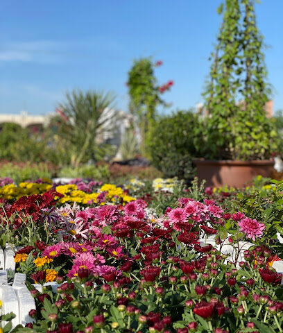 حضانة الناصر - الخبر - +966 50 986 2069