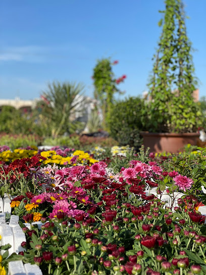 حضانة الناصر - Al Khobar 34447