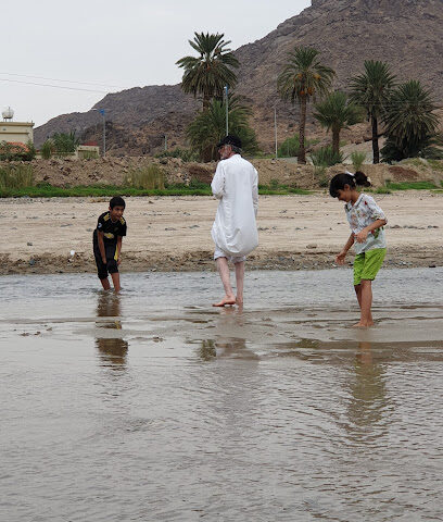 وادي نجران -  -