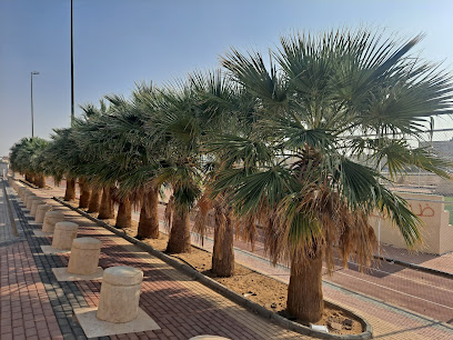 ملعب الربوة - سكاكا -