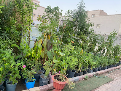 مشتل زهره اللوتس - الدمام - +966 53 735 5090