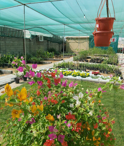 مشتل الفجر - بريدة - +966 59 432 3318
