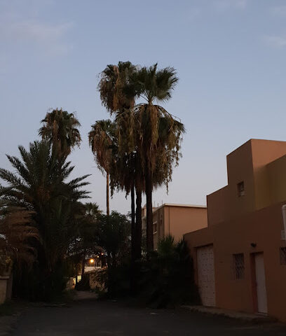 في الأولي بنات - الطائف -