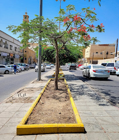 مدرسة الخالدية الابتدائية - خميس مشيط -