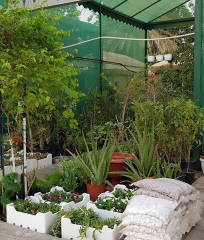 مشتل النخيل - الجبيل - +966 56 567 3717