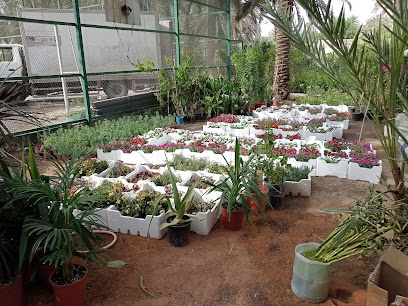 شركة قوافل المقبلي للتجارة - الرياض - +966 56 584 1269