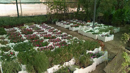 مشاتل الأشراف الزراعية - الرياض - +966 54 415 7905
