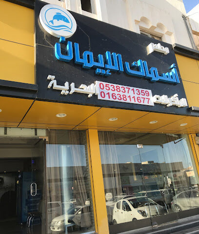 اسماك الايمان صداقات البحريه Aleman fish - بريدة - +966 53 837 1359