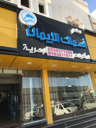 اسماك الايمان صداقات البحريه Aleman fish - Saudi Arabia|Buraydah 52383|Al Fayziyyah