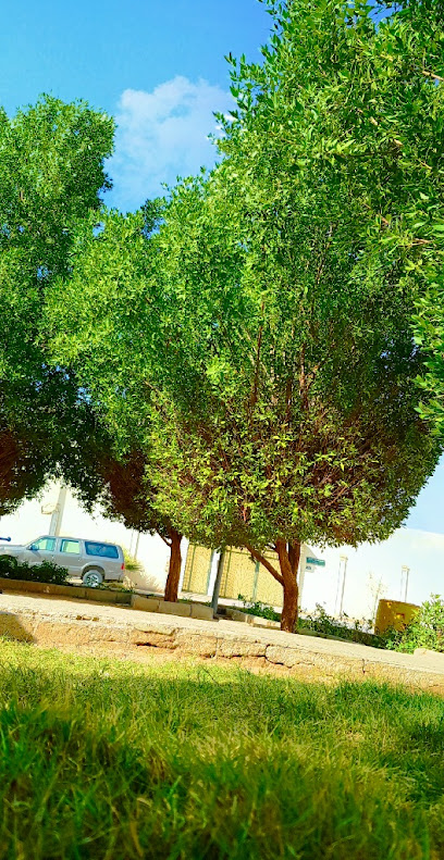 ملعب - Saudi Arabia|Riyadh 12271|King Fahd|3135 Abdullah Ibn Al Arqam