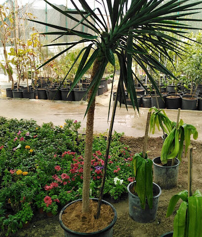 مشتل عبور الوادي - الخفجي - +966 50 925 9699
