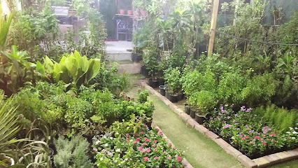 مشتل الضاحية - الدمام - +966 55 062 7734