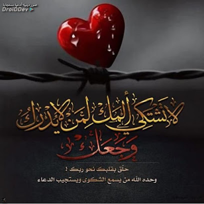 جامعة الطائف - الطائف - +966 9200 02122