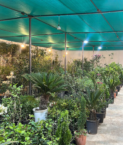 رين لاند - يشيد - +966 55 565 7251
