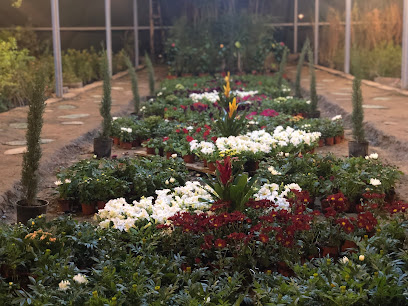 حَدائِقٌ بابل - محايل - +966 56 844 4390