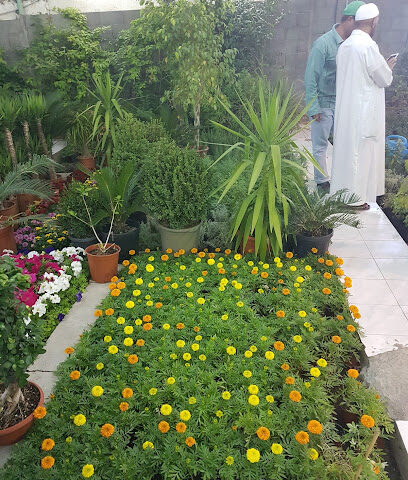 حضانة مدينة الورد - الطائف - +966 59 913 7340