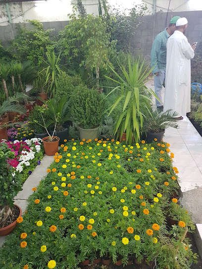 حضانة مدينة الورد - Saudi Arabia|Taif 26522|4283