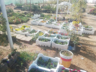 مشتل - سكاكا - +966 53 020 2174