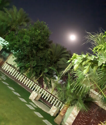 منتجع النورس - بيشة - +966 55 824 6540