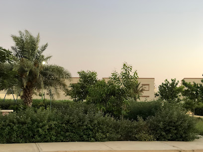 حديقه عامه - ينبع -